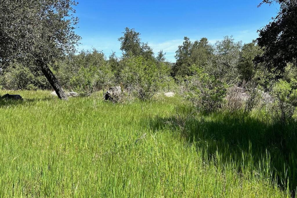 Julian Orchard Ranch Villa Santa Ysabel Eksteriør billede